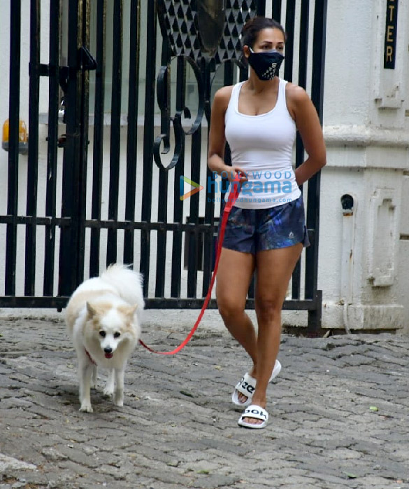Photos: Malaika Arora spotted with her pet Photos: Malaika Arora spotted with her pet