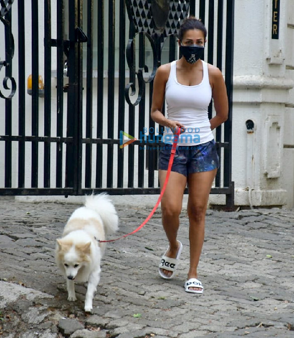 photos malaika arora spotted with her pet 2