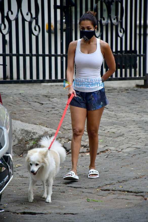 photos malaika arora spotted with her pet 4