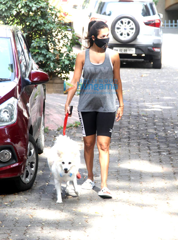 photos malaika arora spotted with her pet on a morning walk 5