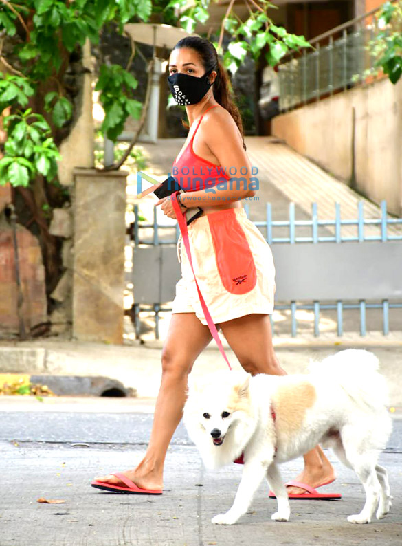 photos malaika arora spotted with her pet on a morning walk 3 4