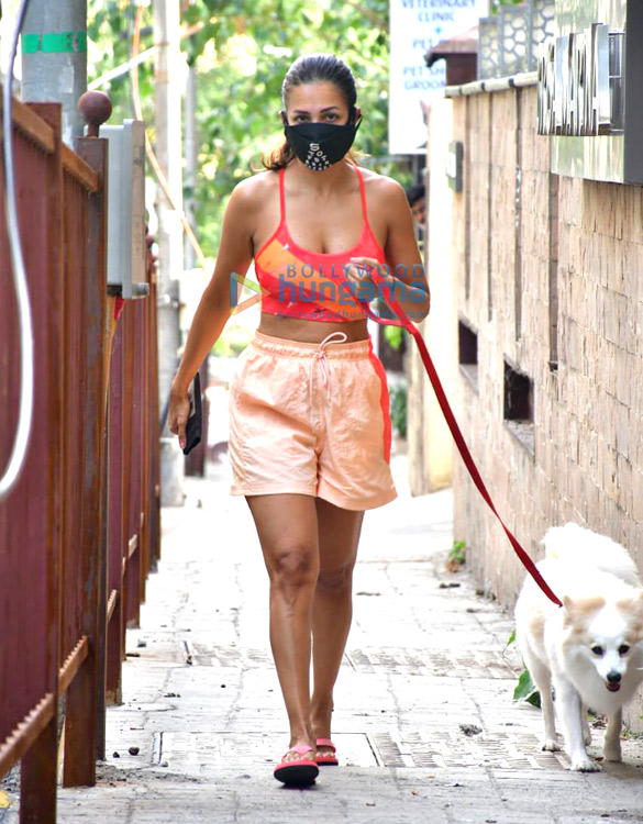 photos malaika arora spotted with her pet on a morning walk 4 4