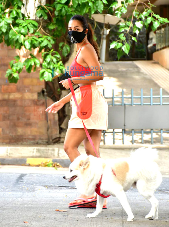 photos malaika arora spotted with her pet on a morning walk 5 2