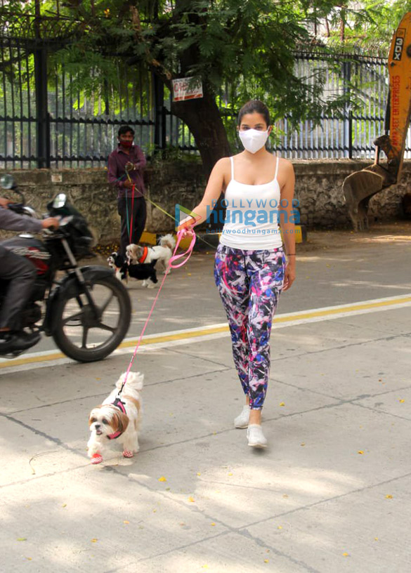 Photos: Sophie Choudry and Neha Sharma spotted with their pets in Bandra Photos: Sophie Choudry and Neha Sharma spotted with their pets in Bandra