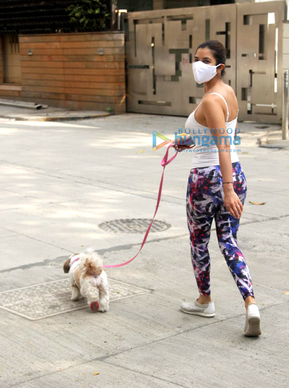 photos sophie choudry and neha sharma spotted with their pets in bandra 3