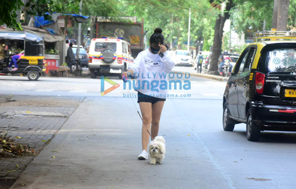 photos sophie choudry and neha sharma spotted with their pets in bandra 6