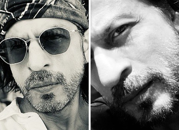 Shah Rukh Khan says it's time to get back to work with a new selfie 