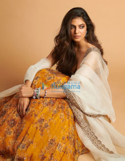 Celebrity Photo Of Malavika Mohanan