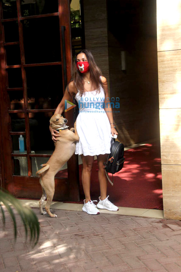 photos malaika arora spotted in bandra 2 28