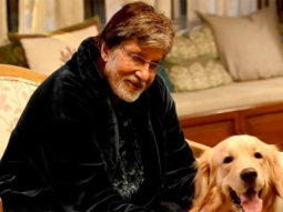 Amitabh Bachchan praises the initiative of ‘I Luv Mumbai Foundation’ in feeding stray animals, sends a personal video for the welfare of four-legged buddies