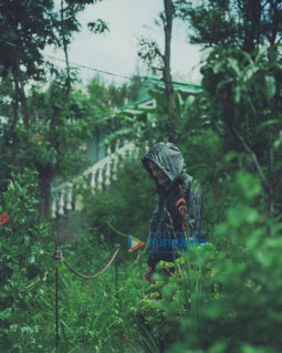 Movie Stills Of The Movie Blurr