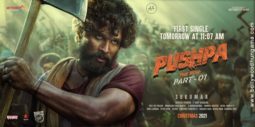 First Look Of Pushpa