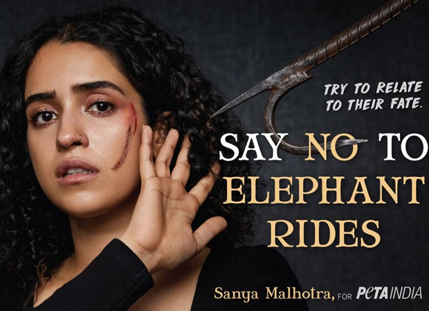 Sanya Malhotra joins forces with PETA India on World Elephant Day