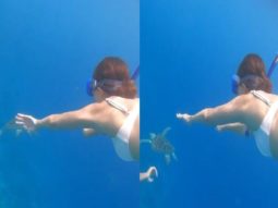 Ananya Panday swims with turtles in the gorgeous blue sea in latest videos