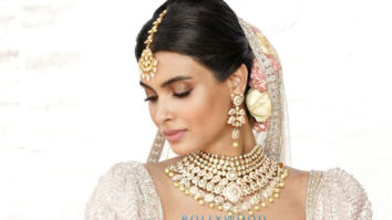 Celebrity Photos of Diana Penty