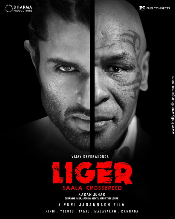 liger 5