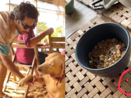 Varun Dhawan shares pictures of his ‘Breakfast bowl’ from his vacation in Goa