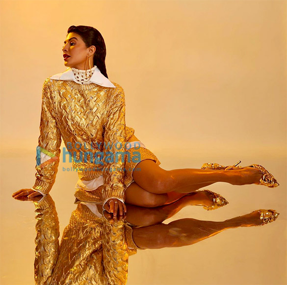 jacqueline fernandez 1 32