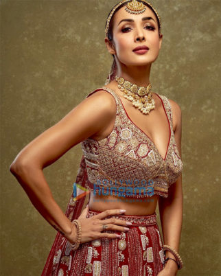Celebrity Photo Of Malaika Arora