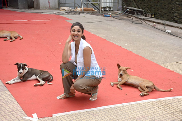 photos shilpa shetty spotted at film city 6