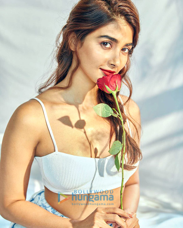 pooja hegde 4 14