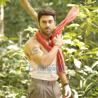 Celebrity Photo Of Pulkit Samrat