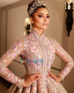 Celebrity Photo Of Urvashi Rautela
