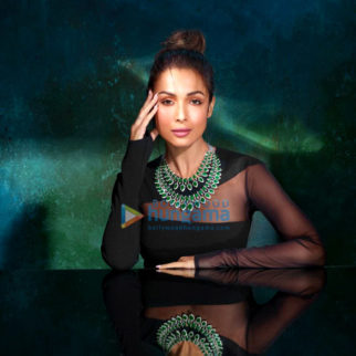 Celebrity Photo Of Malaika Arora