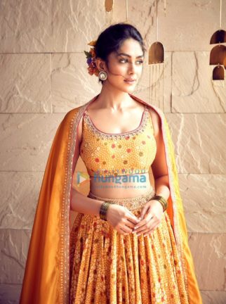 Celeb Photo Of Mrunal Thakur