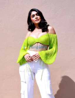 Celeb Photo Of Mrunal Thakur