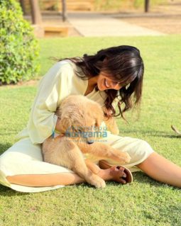 Celeb Photos Of Neha Sharma