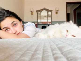 Alia Bhatt starts her week with her furry friend Edward, See Pic Alia Bhatt starts her week with her furry friend Edward, See Pic