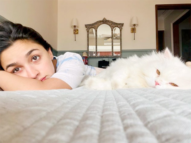 Alia Bhatt starts her week with her furry friend Edward, See Pic