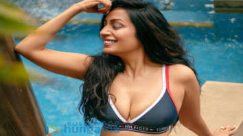Celebrity Photos of Kashmera Shah