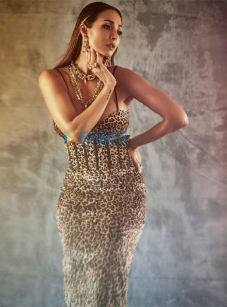 Celebrity Photo Of Malaika Arora