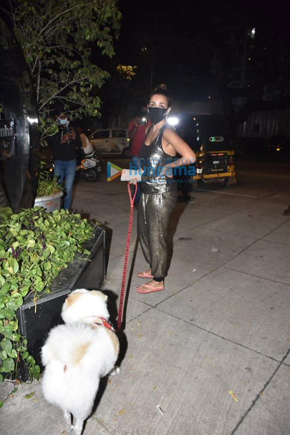 photos malaika arora spotted with her pet in bandra 05 2