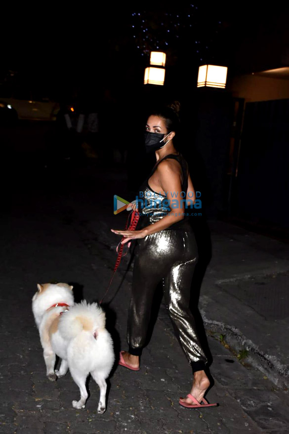 photos malaika arora spotted with her pet in bandra 05 5