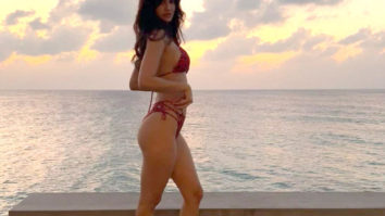 Disha Patani strikes a sensuous pose in a skimpy red bikini