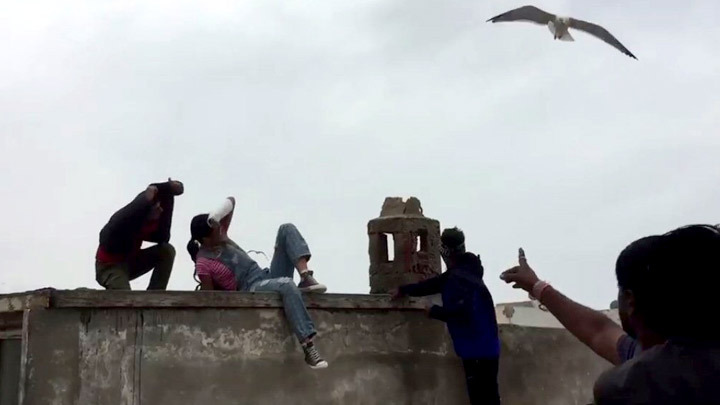 Jagga Jasoos | Attack of the Seagulls | BTS | In cinemas July 14