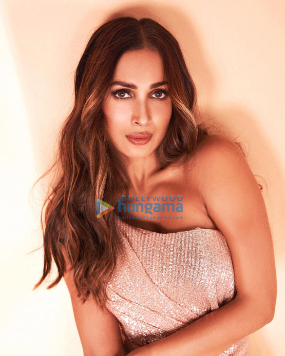 malaika arora 4 47
