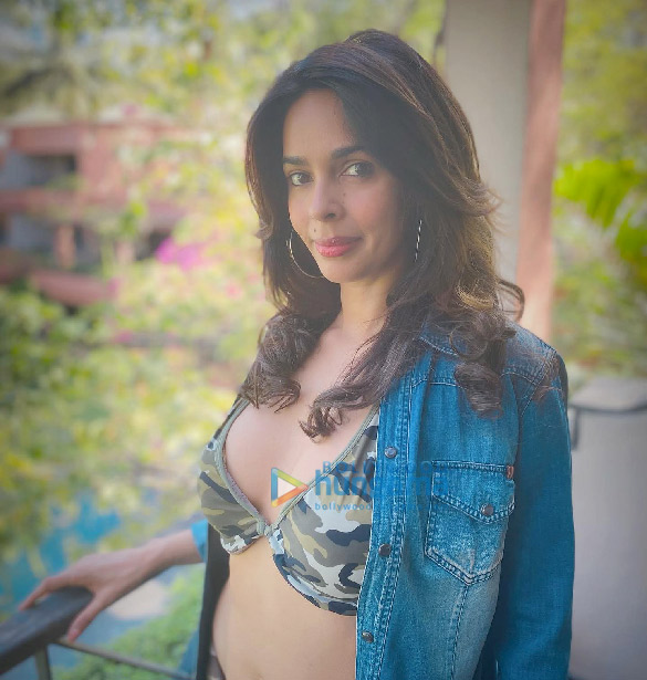 mallika sherawat 1 9