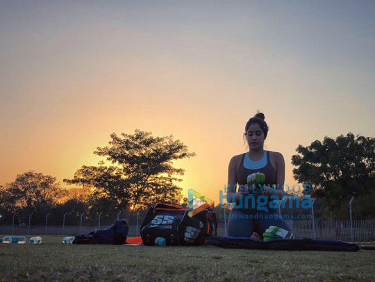 Mahi-mahi visual data 8