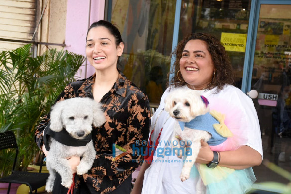 585px x 390px - Photos Tamannaah Bhatia snapped with her pet in Versova 02 (1) | Tamannaah  Bhatia Images - Bollywood Hungama
