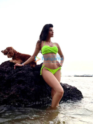 Celeb Photos Of Sonali Raut