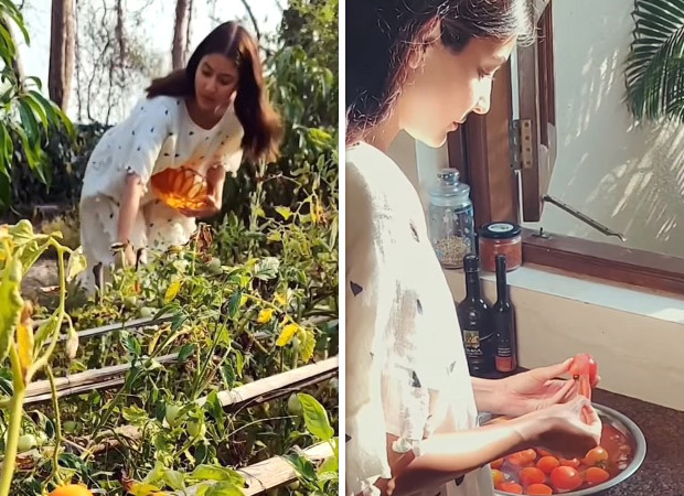 Anushka Sharma shares video of her preparing tomato jam during 2020 lockdown- Thought that Coronavirus will be gone by 2021