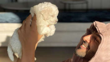 “Love is a four-legged word” – Kartik Aaryan shares photo with his pup Katori; Shehzada co-star Kriti Sanon comments