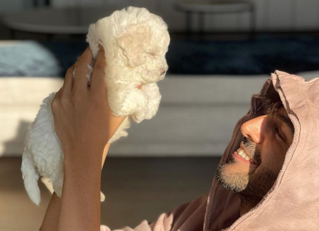 "Love is a four-legged word" - Kartik Aaryan shares photo with his pup Katori; Shehzada co-star Kriti Sanon comments