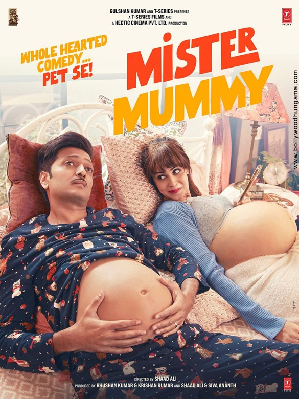 mister mummy 1