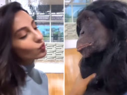 Nora Fatehi has a pout-off with a chimpanzee; feeds a hyena while on vacation in Dubai, see videos