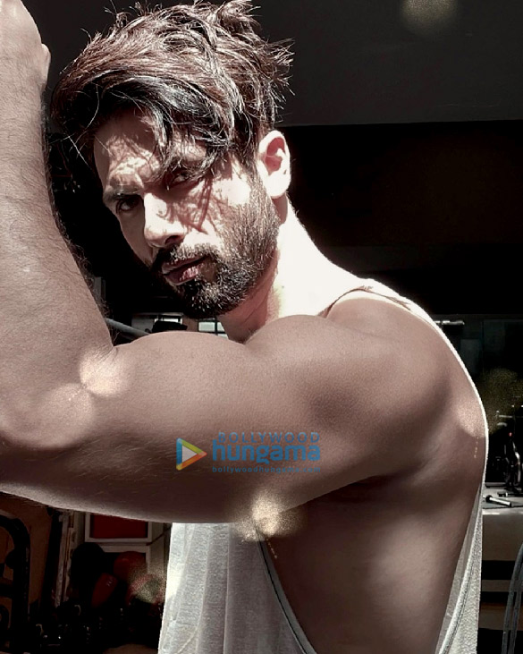 shahid kapoor 169